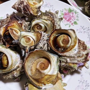 グリルで簡単 サザエのつぼ焼き レシピ 作り方 By イベリコ クックパッド 簡単おいしいみんなのレシピが358万品