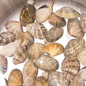 50度洗い 短時間であさりの砂抜き レシピ 作り方 By Taki クックパッド 簡単おいしいみんなのレシピが356万品