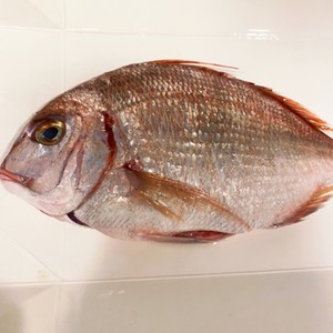鯛のさばき方 下処理 レシピ 作り方 By はまらぶ クックパッド 簡単おいしいみんなのレシピが353万品