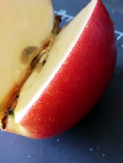 切ったリンゴの保存 レシピ 作り方 By リリ マロン クックパッド 簡単おいしいみんなのレシピが376万品