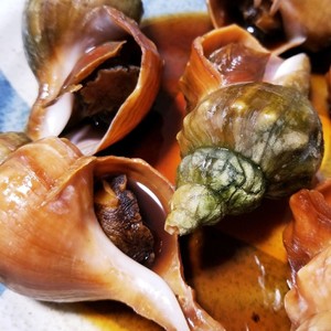 父が大好きな つぶ貝の甘辛煮 レシピ 作り方 By Shioriのママ クックパッド 簡単おいしいみんなのレシピが356万品
