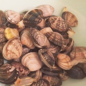 50度洗い 短時間であさりの砂抜き レシピ 作り方 By Taki クックパッド 簡単おいしいみんなのレシピが356万品