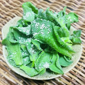 アイスプラントを活かす最高 っの食べ方 レシピ 作り方 By めいりー クックパッド 簡単おいしいみんなのレシピが361万品