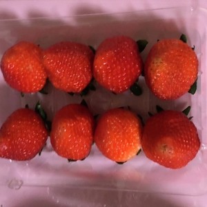 ちょっとの工夫で何倍も長持ち 苺の保存 レシピ 作り方 By 理系パティシエ クックパッド 簡単おいしいみんなのレシピが357万品