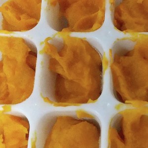 離乳食初期 かぼちゃの冷凍 保存法 レシピ 作り方 By ユミタロウ クックパッド 簡単おいしいみんなのレシピが360万品