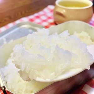 メスティン 基本の白飯1合 キャンプ飯 レシピ 作り方 By たまにはおそとめし クックパッド 簡単おいしいみんなのレシピが357万品