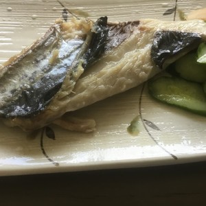 ブラインド 熱狂的な フラッシュのように素早く さごし 塩焼き フライパン Haiv Jp