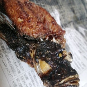 オコゼのから揚げ 丸揚げ レシピ 作り方 By 明石浦漁業協同組合 クックパッド 簡単おいしいみんなのレシピが361万品