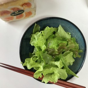 野菜の洗い方 虫が付いている場合 レシピ 作り方 By アンティル クックパッド 簡単おいしいみんなのレシピが364万品