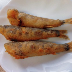 漁師さんに教わった メヒカリの唐揚げ レシピ 作り方 By ハル太郎 クックパッド 簡単おいしいみんなのレシピが356万品