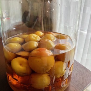 カビの心配無用 さし酢梅干しの作り方 レシピ 作り方 By ひと匙の記録帳 クックパッド 簡単おいしいみんなのレシピが355万品