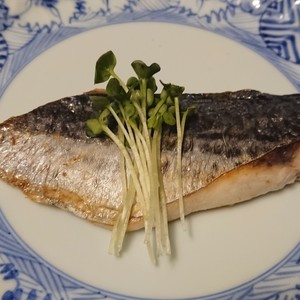 サワラ サゴシ の塩焼き レシピ 作り方 By 明石浦漁業協同組合 クックパッド 簡単おいしいみんなのレシピが359万品