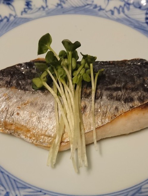 サワラ サゴシ の塩焼き レシピ 作り方 By 明石浦漁業協同組合 クックパッド 簡単おいしいみんなのレシピが377万品