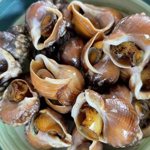 父が大好きな つぶ貝の甘辛煮 レシピ 作り方 By Shioriのママ クックパッド 簡単おいしいみんなのレシピが356万品