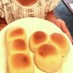 朝焼くだけ！冷蔵発酵の簡単パン！！