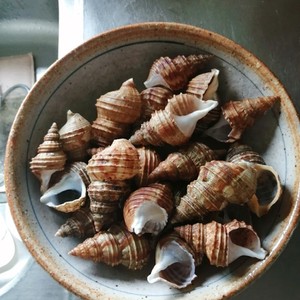 つぶ貝の塩ゆで レシピ 作り方 By 赤紫芋介 クックパッド 簡単おいしいみんなのレシピが356万品