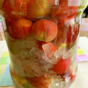 プラム酢 レシピ 作り方 By すもも55 クックパッド 簡単おいしいみんなのレシピが359万品