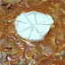 まるごとカマンベールチーズトマト鍋