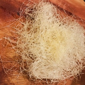 春雨を揚げると レシピ 作り方 By ともっち４４ クックパッド 簡単おいしいみんなのレシピが356万品