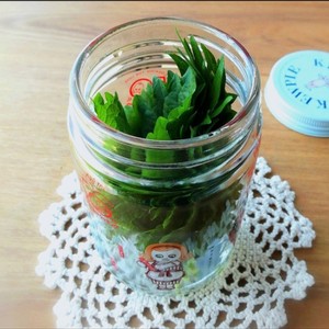 フレッシュハーブと大葉の保存方法 レシピ 作り方 By はらぺこしろうさぎ クックパッド 簡単おいしいみんなのレシピが358万品