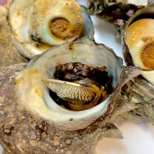 レンジでサザエの壺焼き レシピ 作り方 By みきゃんな クックパッド 簡単おいしいみんなのレシピが356万品