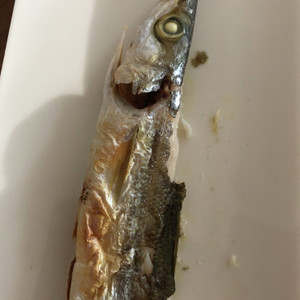 基本の かますの塩焼き レシピ 作り方 By ゆうゆう0221 クックパッド 簡単おいしいみんなのレシピが356万品