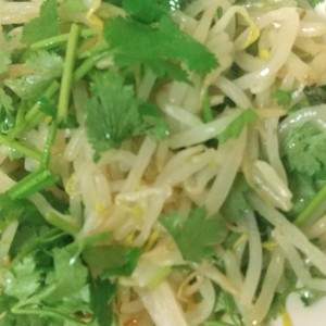 パクチーともやしのサラダ レシピ 作り方 By ぶんクック クックパッド 簡単おいしいみんなのレシピが360万品