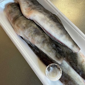 魚のウロコ取るにはペットボトルキャップ レシピ 作り方 By 明日の風 クックパッド 簡単おいしいみんなのレシピが361万品