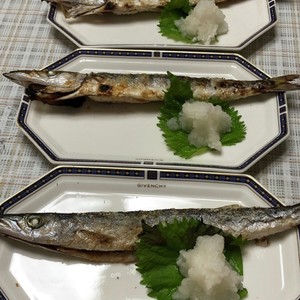 シンプルに カマスの塩焼き レシピ 作り方 By 漁師ママ クックパッド 簡単おいしいみんなのレシピが361万品