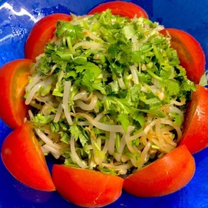 パクチーともやしのサラダ レシピ 作り方 By ぶんクック クックパッド 簡単おいしいみんなのレシピが357万品