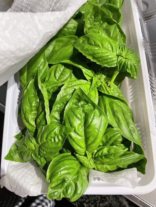 長持ち スイートバジルの保存方法 レシピ 作り方 By Brillatsavarin クックパッド 簡単おいしいみんなのレシピが375万品