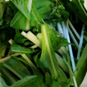 長持ち 水菜の冷蔵 冷凍保存方法 レシピ 作り方 By 新米幸せママ クックパッド 簡単おいしいみんなのレシピが360万品