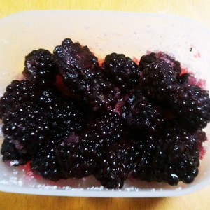 簡単で美味しいブラックベリーの食べ方 のつくれぽ クックパッド 簡単おいしいみんなのレシピが371万品