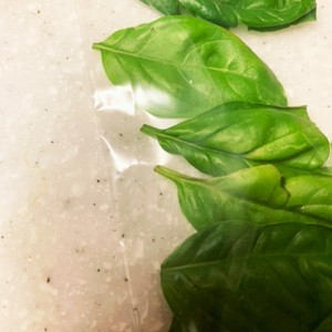 バジルは冷凍保存できます V レシピ 作り方 By ばじまま クックパッド 簡単おいしいみんなのレシピが358万品