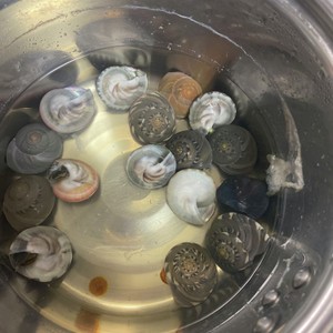 ながらみの塩茹で レシピ 作り方 By ケーゼトラウト クックパッド 簡単おいしいみんなのレシピが364万品