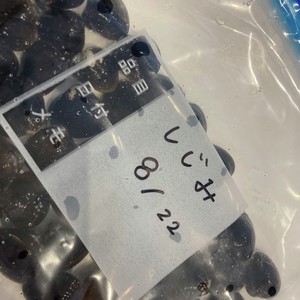 おすすめ しじみの冷凍保存 レシピ 作り方 By Rubi0314 クックパッド 簡単おいしいみんなのレシピが361万品