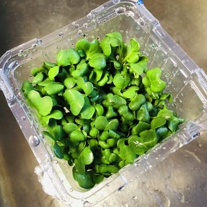 カイワレ大根の種ガラの取り方 レシピ 作り方 By トクライ クックパッド 簡単おいしいみんなのレシピが367万品