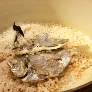 エボダイの開きで鯛飯 ルクルーゼ鍋 レシピ 作り方 By 木村ごはん クックパッド 簡単おいしいみんなのレシピが360万品