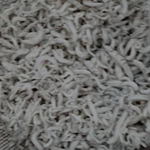 離乳食 しらすの塩抜き レシピ 作り方 By 和の離乳食 中田馨 クックパッド 簡単おいしいみんなのレシピが360万品