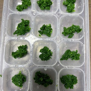 離乳食中期 ほうれん草の冷凍保存 レシピ 作り方 By ゆりぴ クックパッド 簡単おいしいみんなのレシピが360万品