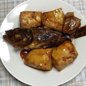 旨いぞ ホゴの煮付け カサゴのこと レシピ 作り方 By Ura クックパッド 簡単おいしいみんなのレシピが371万品