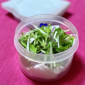 水菜が長持ち 我が家の保存方法 レシピ 作り方 By ウシ美 クックパッド 簡単おいしいみんなのレシピが360万品