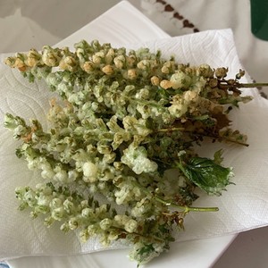 紫蘇の実 花穂 の天ぷら レシピ 作り方 By 武茶志 クックパッド 簡単おいしいみんなのレシピが361万品