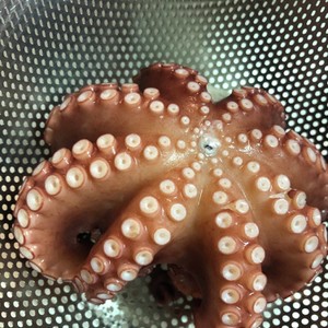 茹でタコ タコのゆで方 真蛸を茹でる レシピ 作り方 By ジアミーヌ クックパッド 簡単おいしいみんなのレシピが360万品