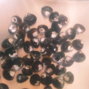 簡単 しじみの砂抜き 少量用 レシピ 作り方 By めいこば クックパッド 簡単おいしいみんなのレシピが361万品