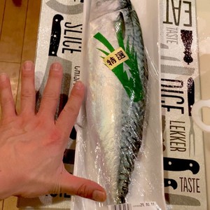 基本 魚の捌き方 サバの捌き方 レシピ 作り方 By Skyレシピ クックパッド 簡単おいしいみんなのレシピが366万品