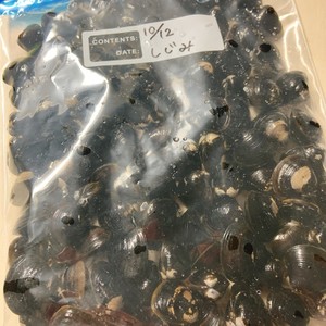 おすすめ しじみの冷凍保存 レシピ 作り方 By Rubi0314 クックパッド 簡単おいしいみんなのレシピが361万品