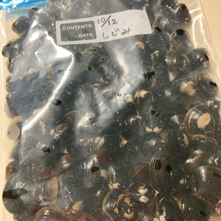 おすすめ しじみの冷凍保存 レシピ 作り方 By Rubi0314 クックパッド 簡単おいしいみんなのレシピが366万品