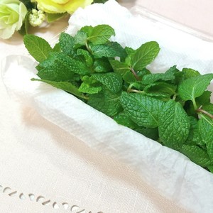 イタリアンパセリ長持ち法 レシピ 作り方 By イシス女神 クックパッド 簡単おいしいみんなのレシピが361万品