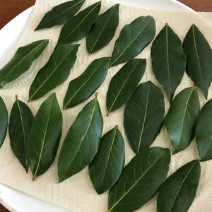 乾燥ローリエの作り方 レンジで超簡単 レシピ 作り方 By セレン クックパッド 簡単おいしいみんなのレシピが361万品